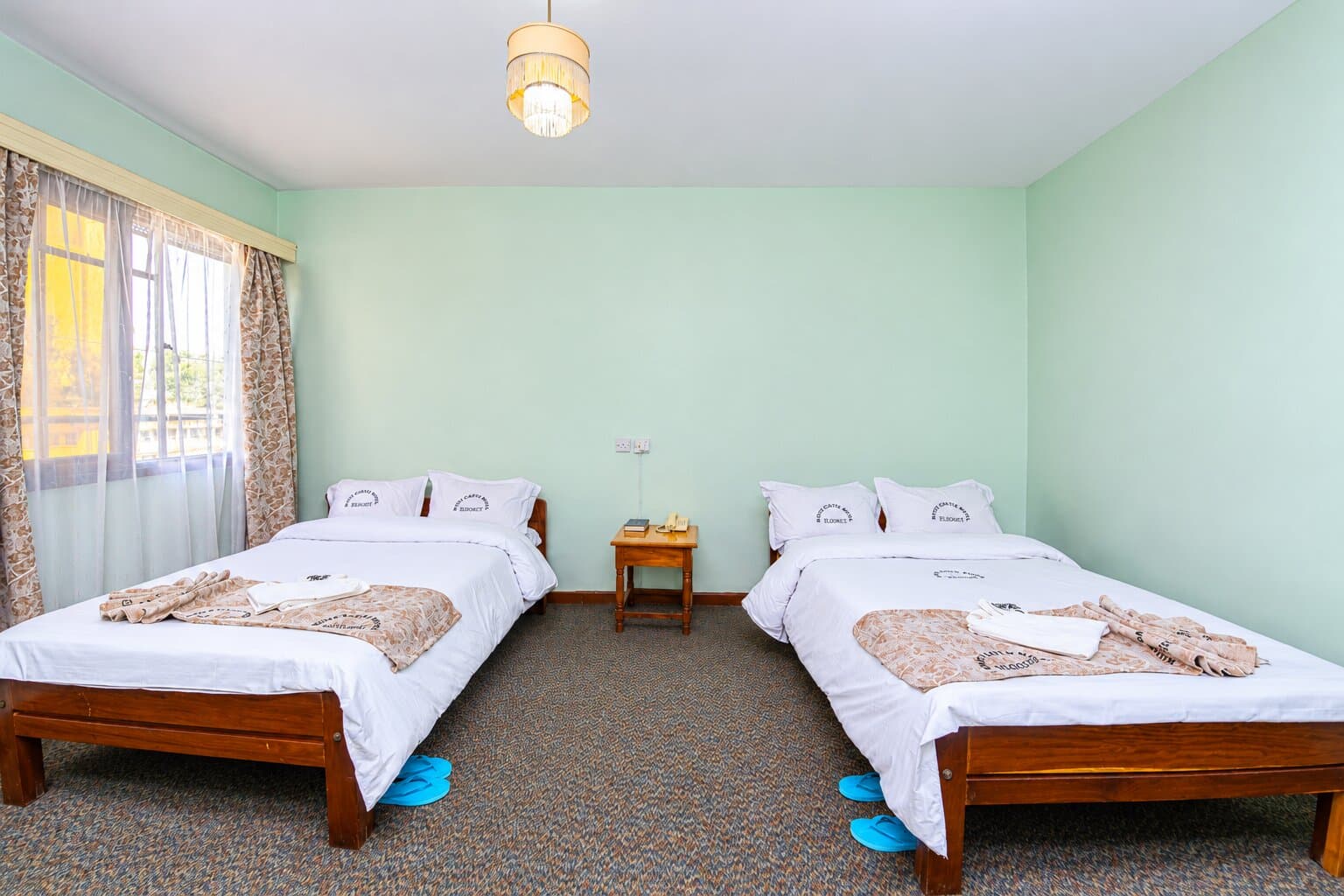 Carpeted room with two beds